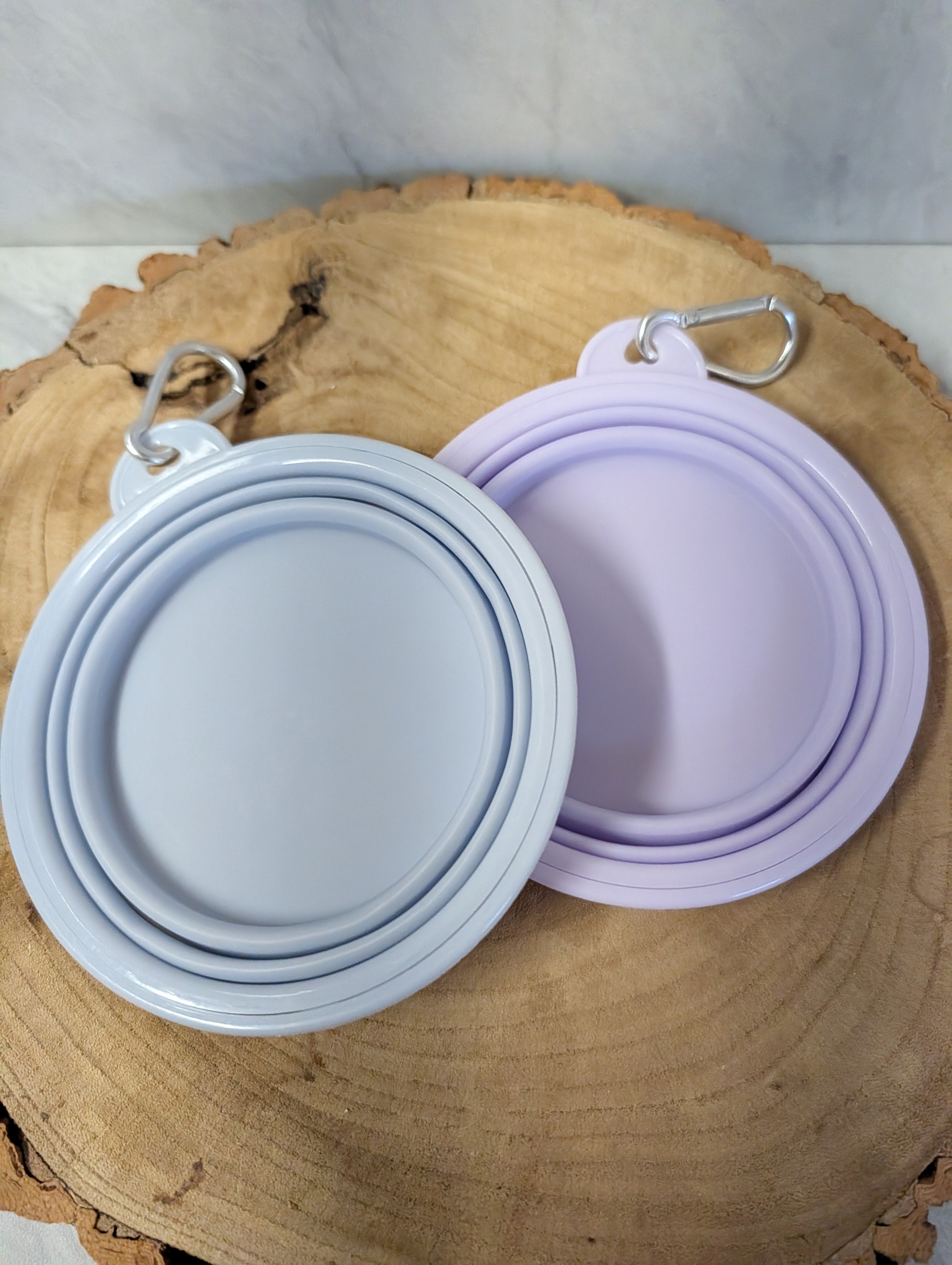 Collapsible Pet Bowl