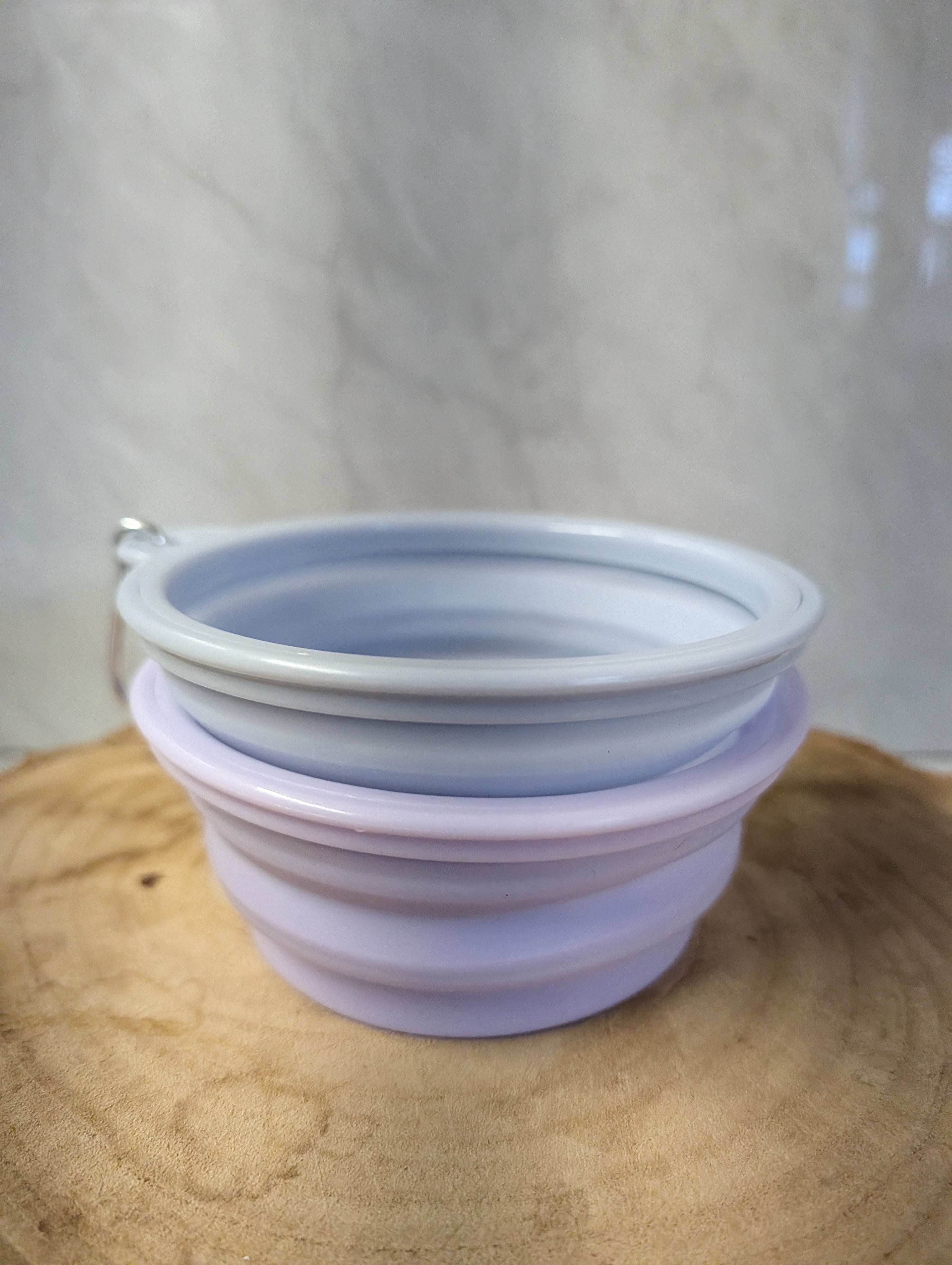 Collapsible Pet Bowl