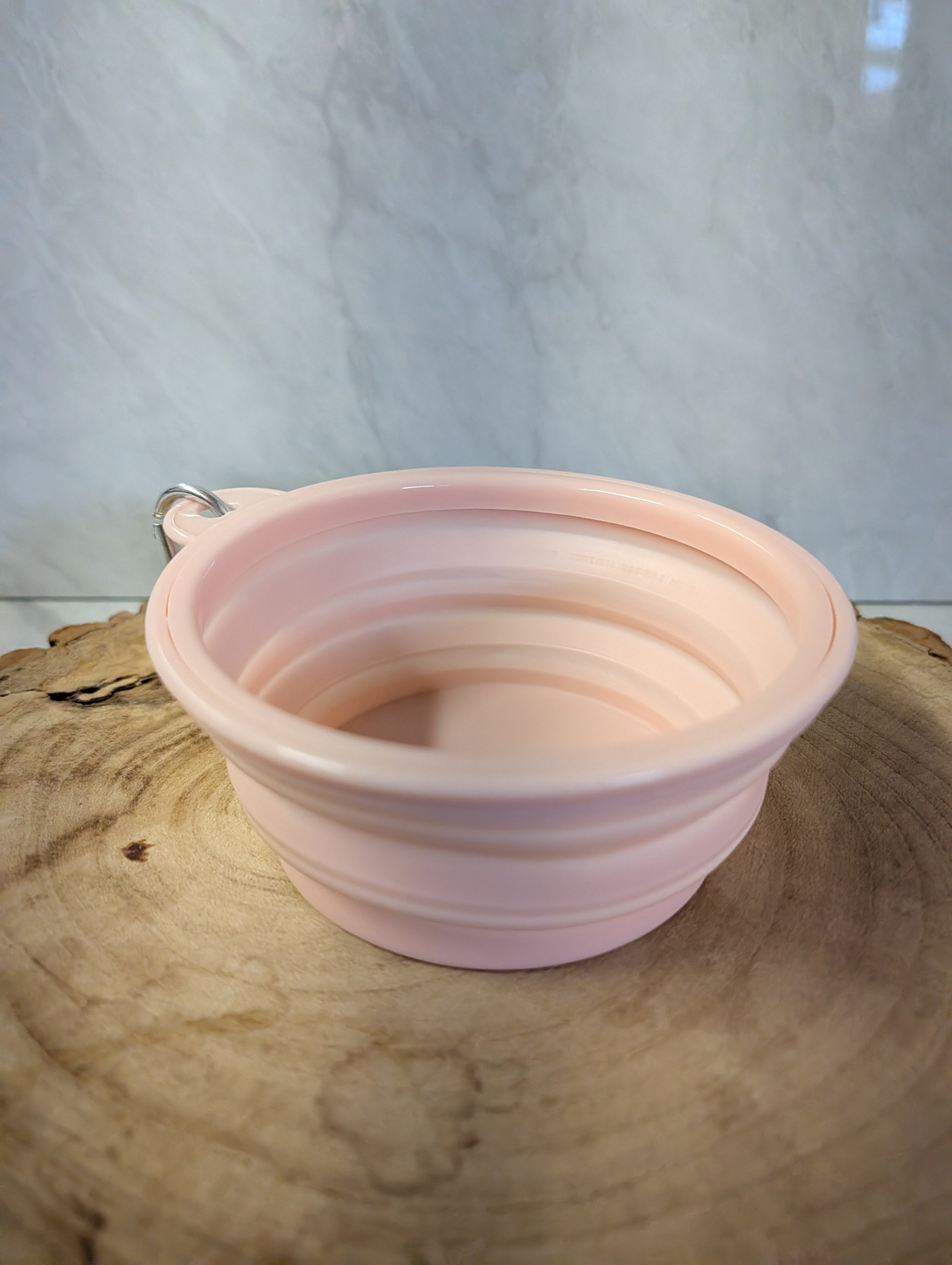 Collapsible Pet Bowl