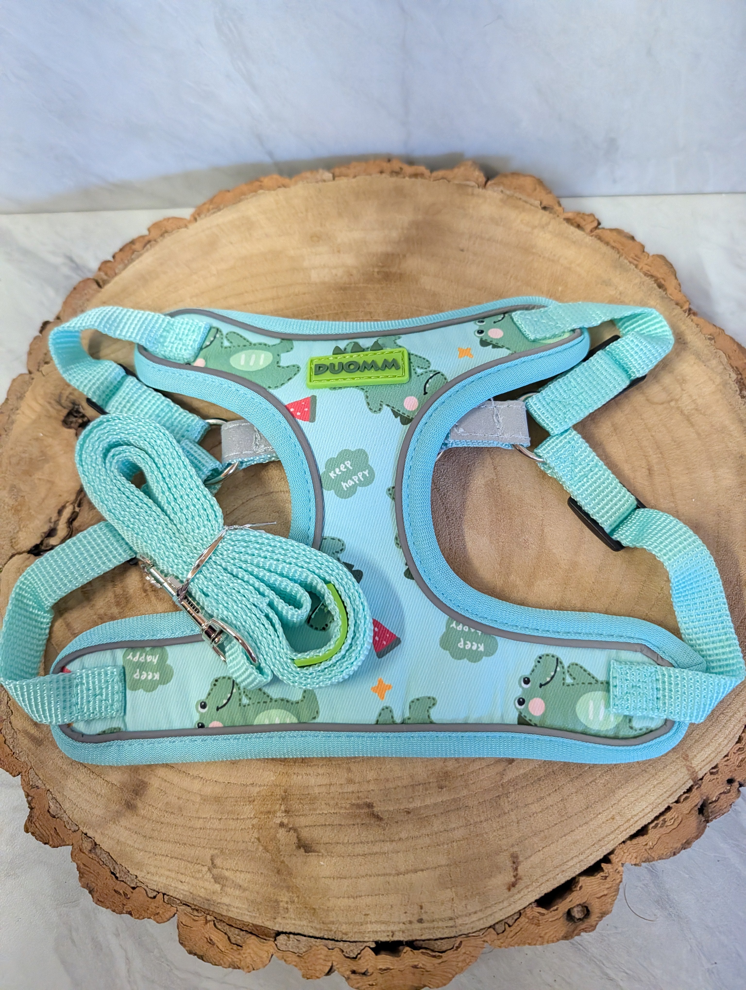 Dinosaur Dog Harness