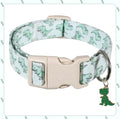 Dinosaur Collar