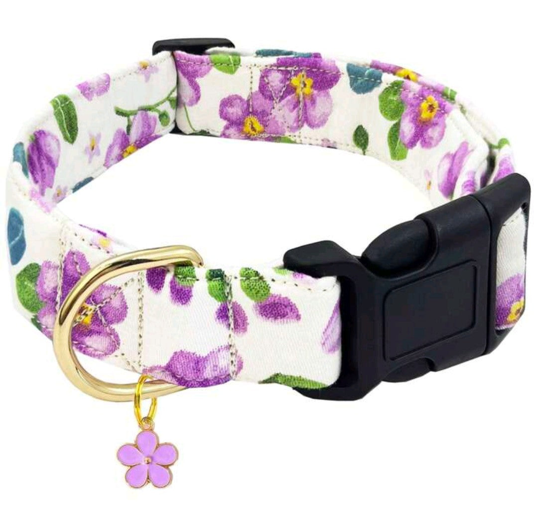 Floral Dog Collar