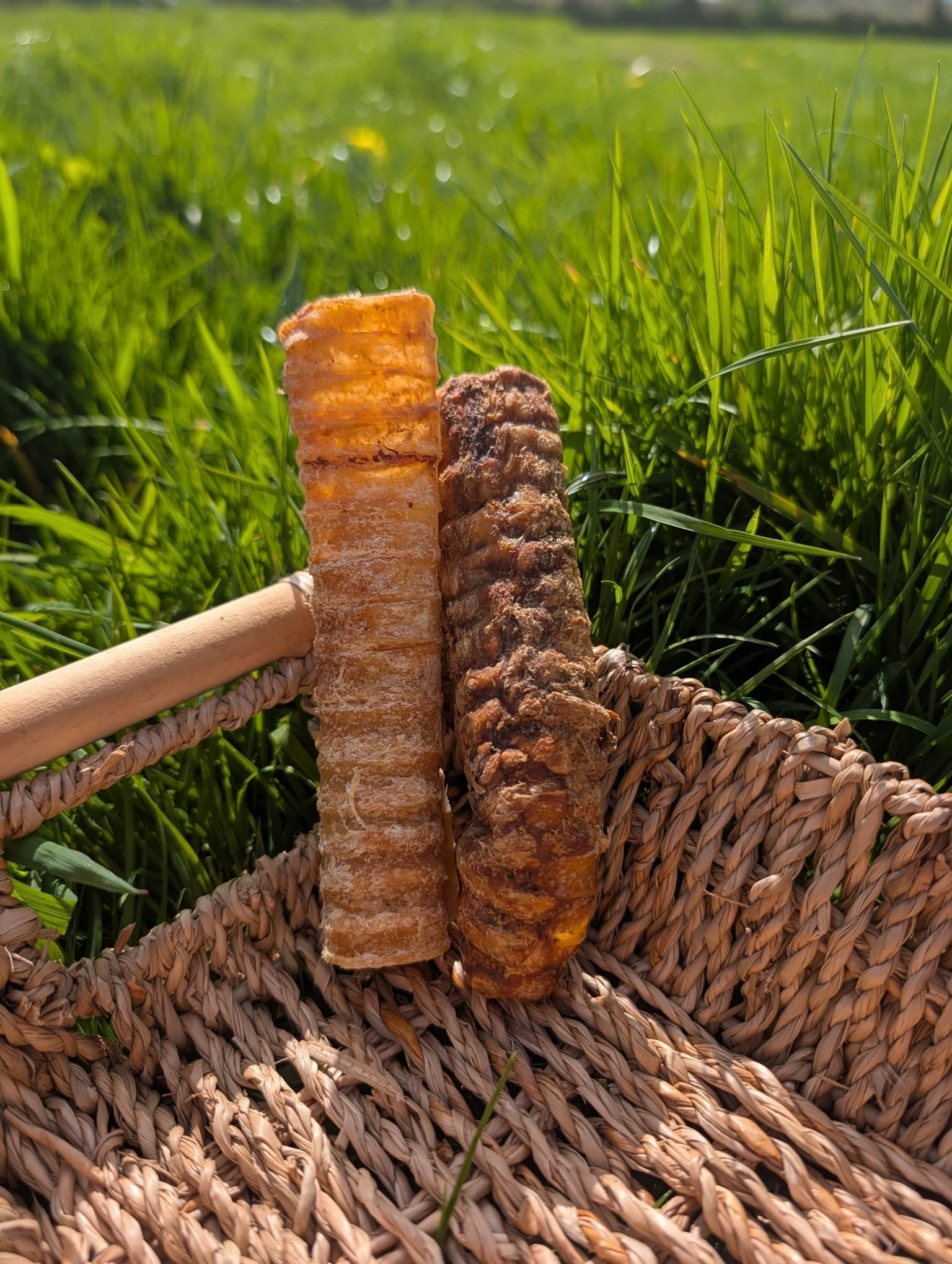 Beef Trachea