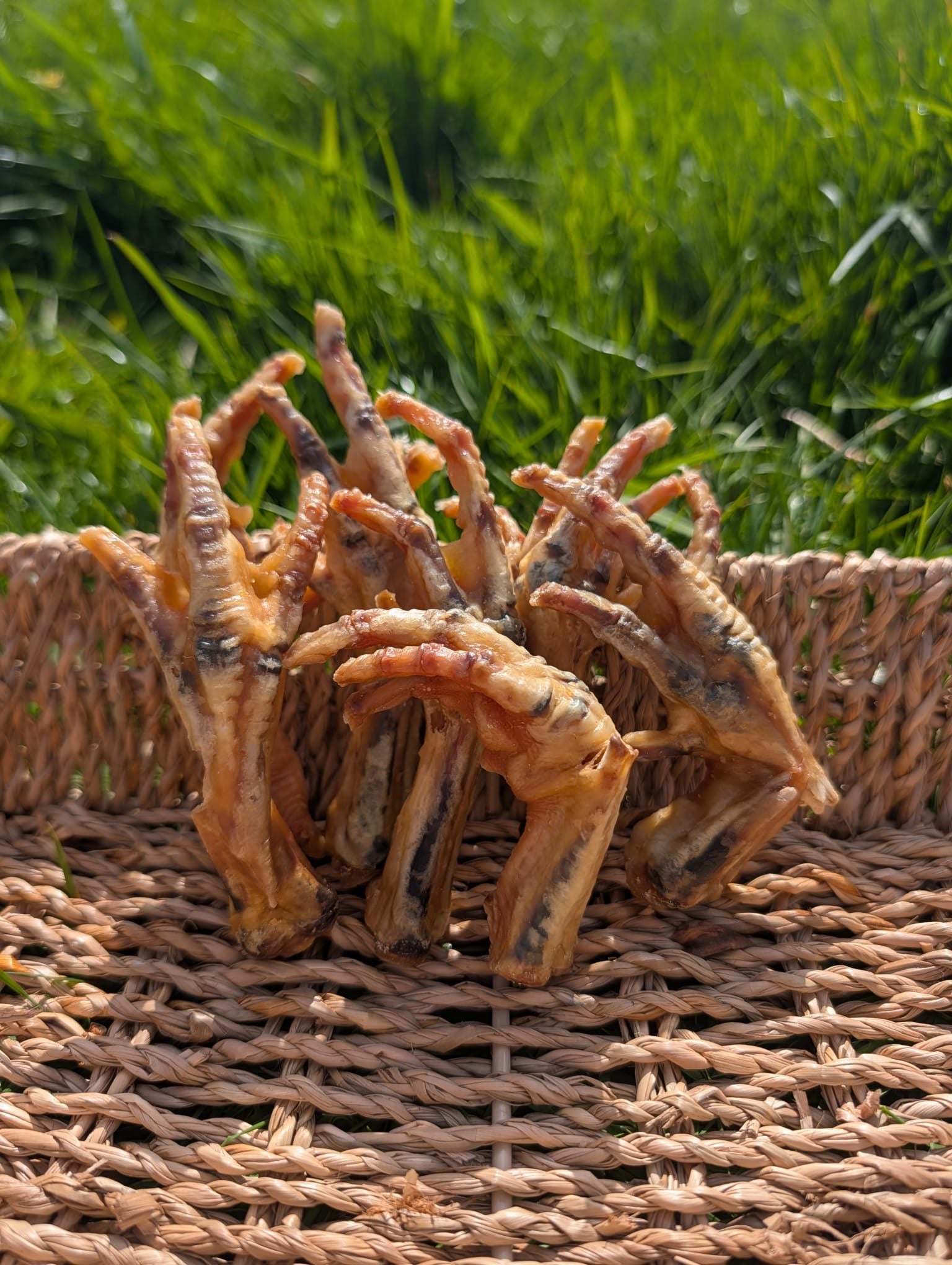 Chicken Feet