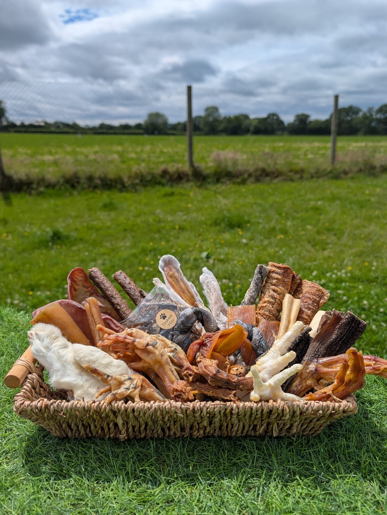 Mega Munch Box
