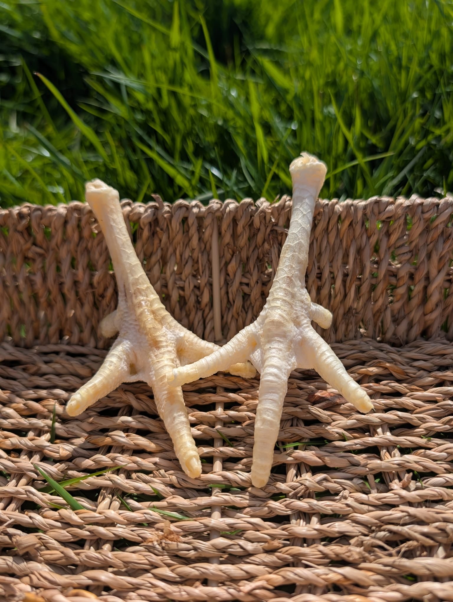 Puffed Chicken Feet