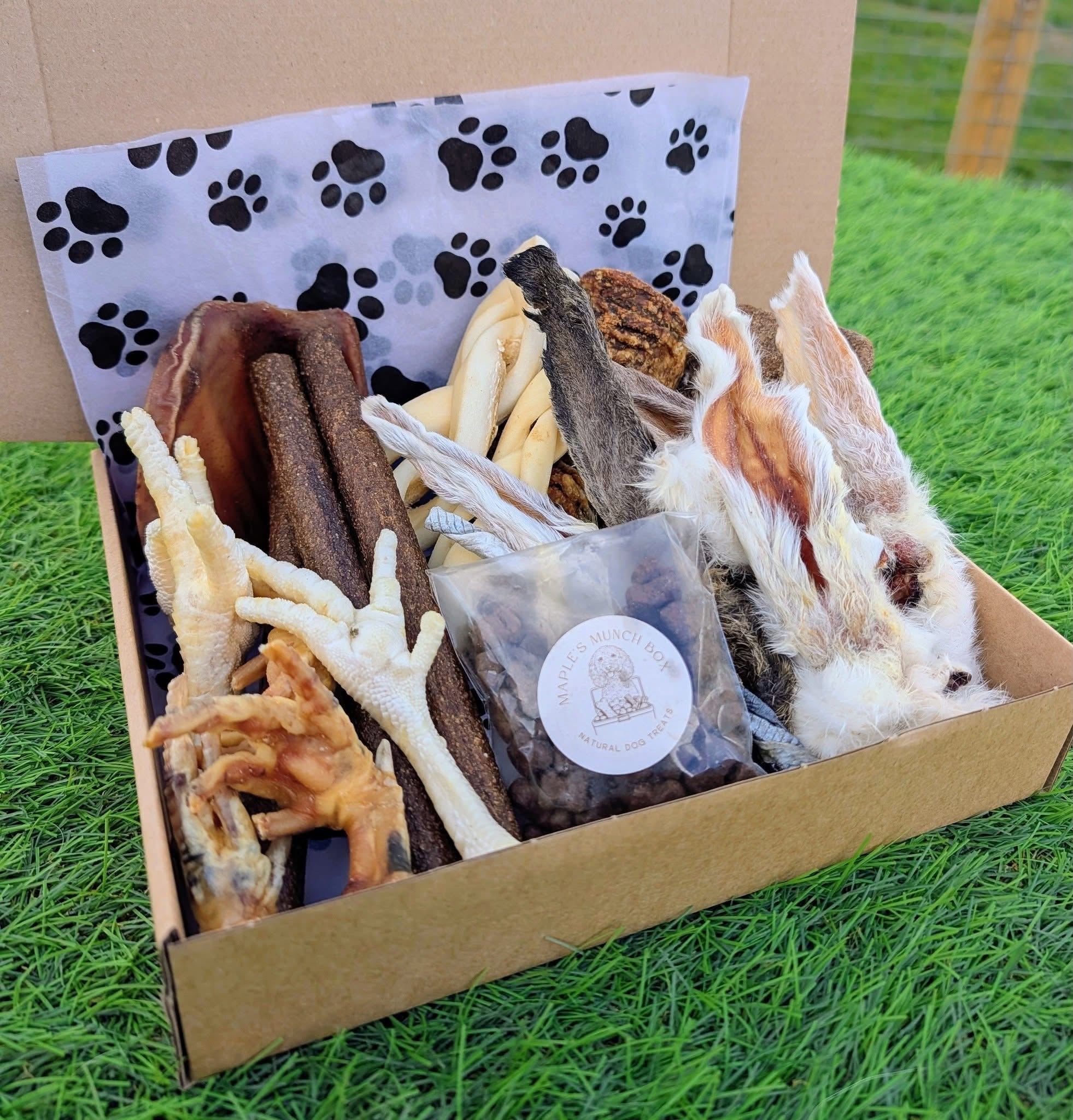 Puppy Munch Box